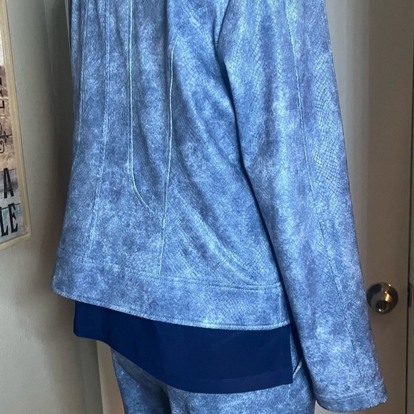 Liquid leather jacket and pant set blue snakeskin by Clara sun woo nwt - Picture 3 of 16